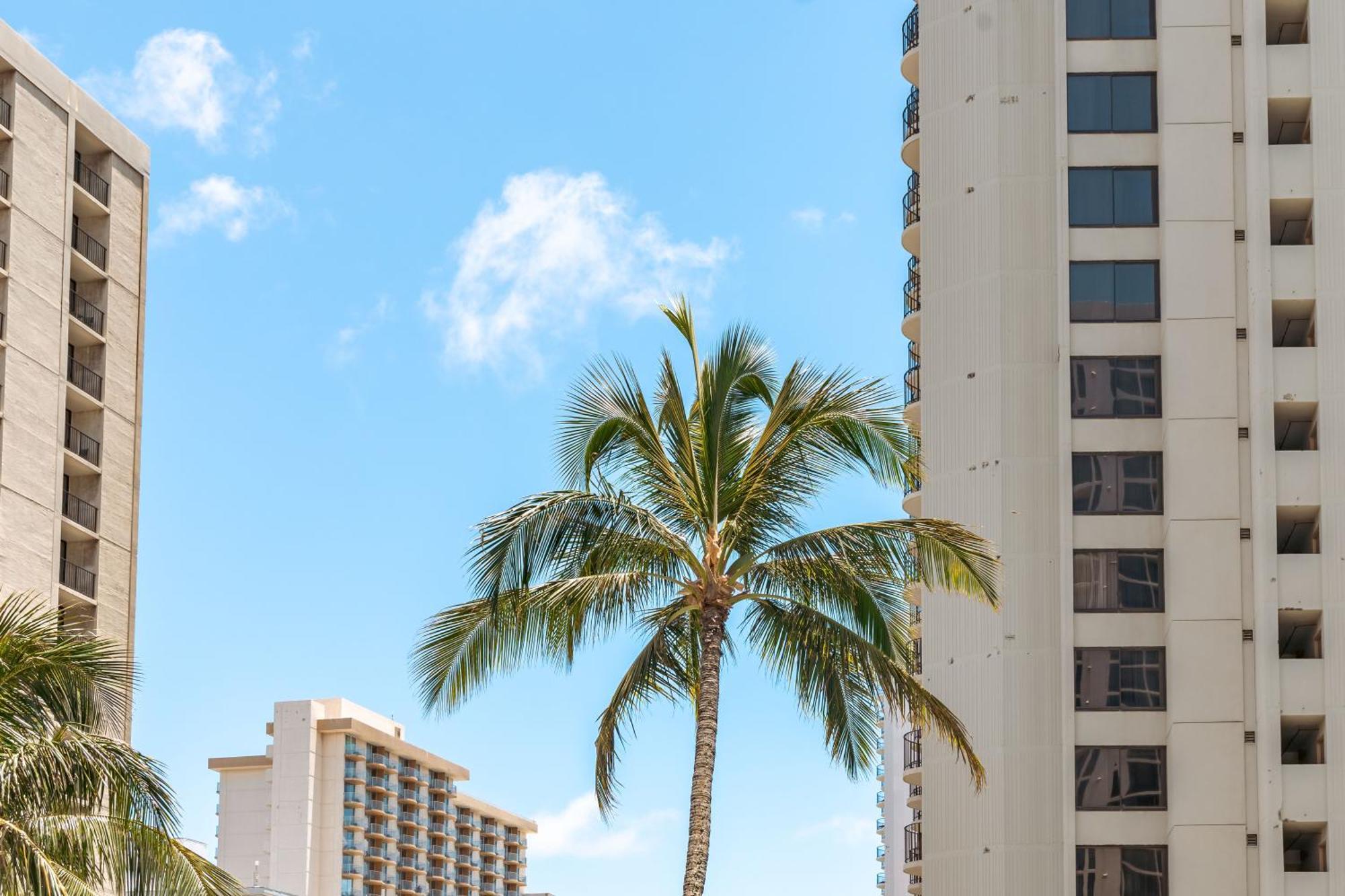 Beautiful Ocean And Diamond Head Views With Parking Apartamento Honolulu Exterior foto