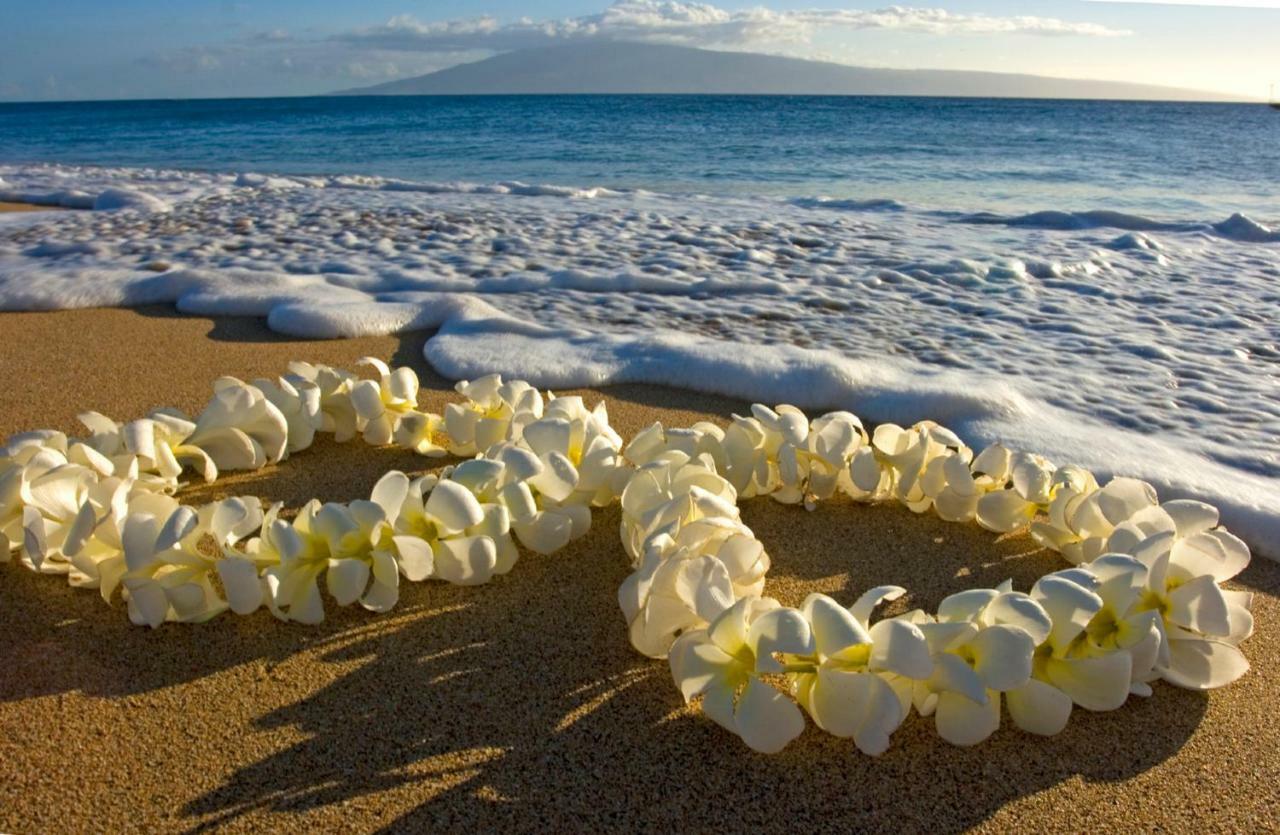 Beautiful Ocean And Diamond Head Views With Parking Apartamento Honolulu Exterior foto